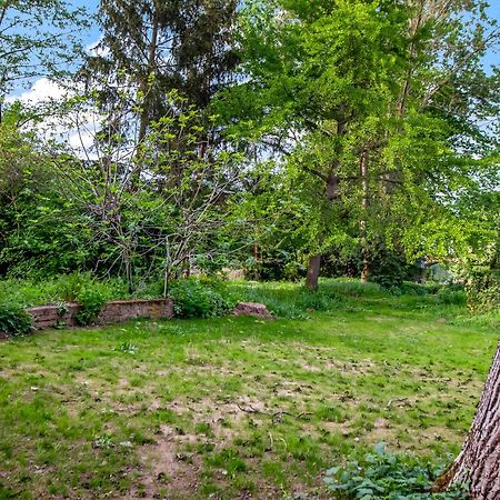 Altstadt Apartment Am Wasser Mit Parkplatz Und Grossem Garten Bad Kreuznach Kültér fotó