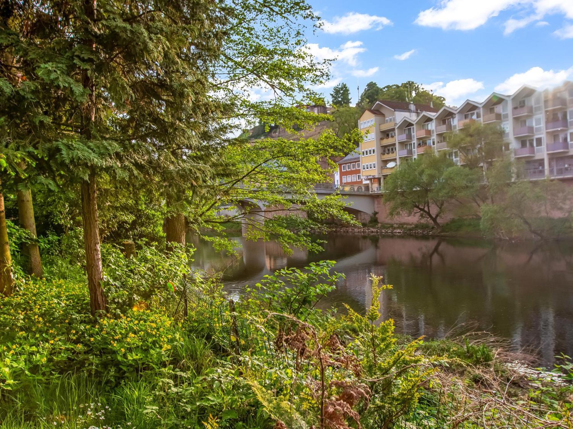Altstadt Apartment Am Wasser Mit Parkplatz Und Grossem Garten Bad Kreuznach Kültér fotó