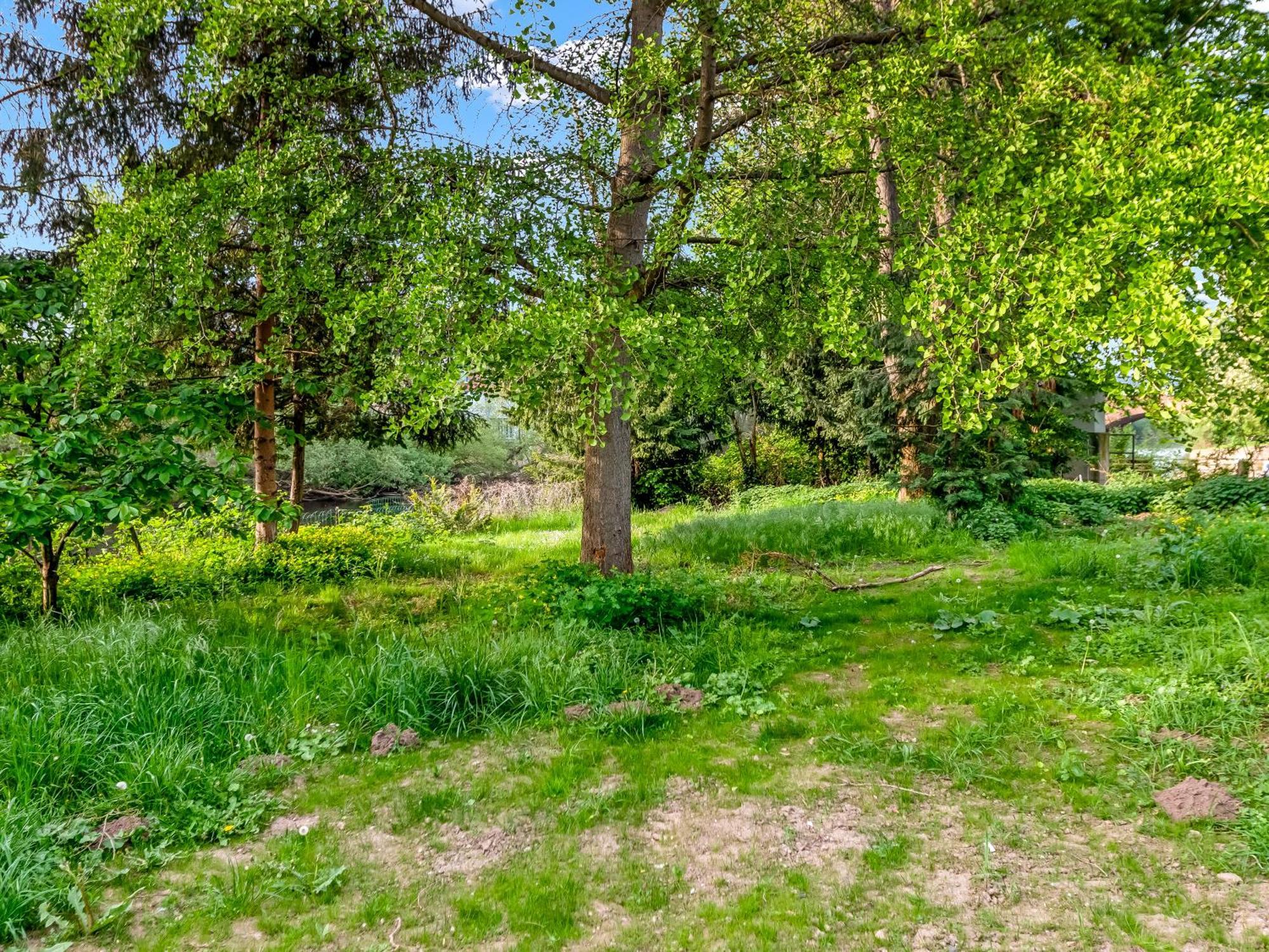 Altstadt Apartment Am Wasser Mit Parkplatz Und Grossem Garten Bad Kreuznach Kültér fotó